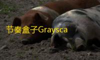 节奏盒子Grayscale模组最新版